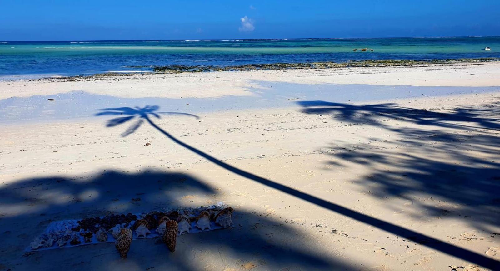 Lazy Beach House Kiwengwa  Bagian luar foto